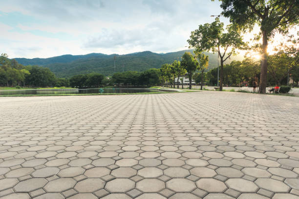 Best Residential Driveway Paver Services  in Bowman, ND